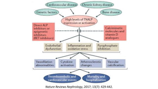 Nature Reviews Nephrology, 2017; 13(7): 429-442.
 