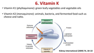 6. Vitamin K
• Vitamin K1 (phylloquinone): green leafy vegetables and vegetable oils
• Vitamin K2 (menaquinone): animals, bacteria, and fermented food such as
cheese and natto.
Kidney International (2009) 76, 18–22
 