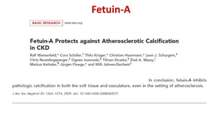 Fetuin-A
 