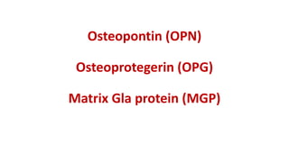Osteopontin (OPN)
Osteoprotegerin (OPG)
Matrix Gla protein (MGP)
 