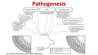Pathogenesis
Am J Physiol Renal Physiol 307: F891–F900, 2014
 