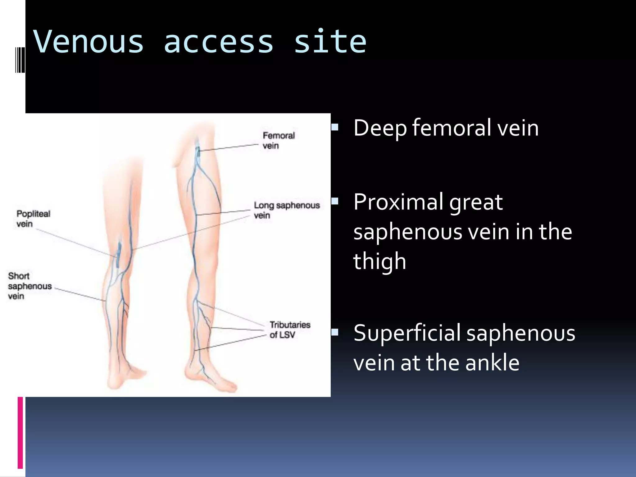 Venous access site

                Deep femoral vein


                Proximal great
                 saphenous vein in the
                 thigh

                Superficial saphenous
                 vein at the ankle
 