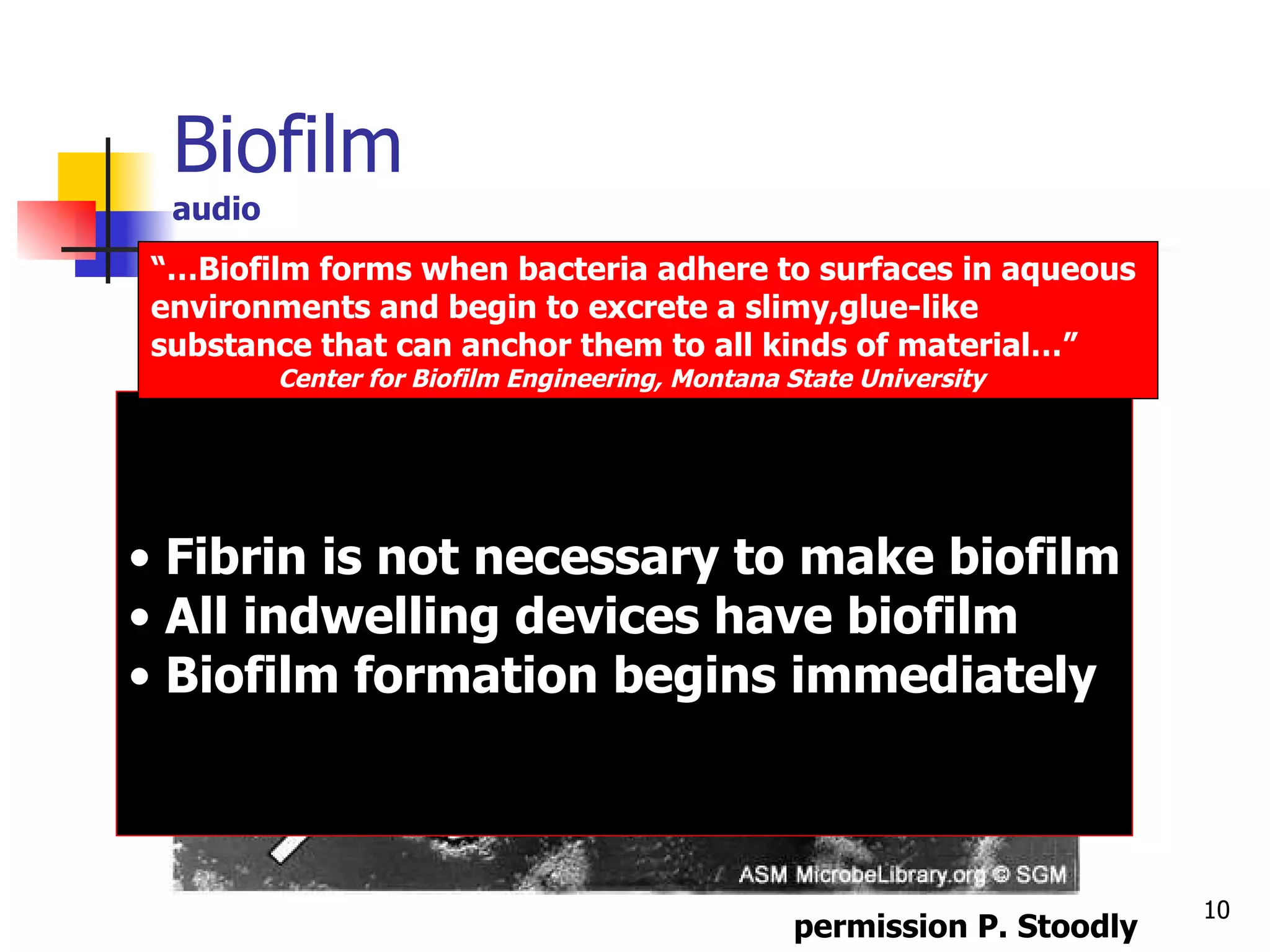 Biofilm audio Fibrin is not necessary to make biofilm All indwelling devices have biofilm Biofilm formation begins immediately “… Biofilm forms when bacteria adhere to surfaces in aqueous  environments and begin to excrete a slimy,glue-like  substance that can anchor them to all kinds of material…”  Center for Biofilm Engineering, Montana State University permission P. Stoodly 