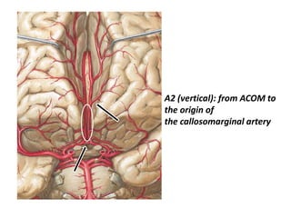 imaging and anatomy of blood supply of brain | PPTX