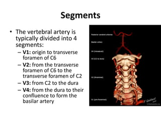 SCA- Superior
Cerebellar Artery –
– Arises from BA
apex.
– Supplies –
• Superior surface
of vermis n
cerebellar
hemisphere...
