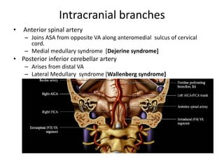 P1 precommunicating
/ peduncular
• Br –
• Posterior
thalamoperforating-
Thalamus , Midbrain
• Medial posterior choroidal
a...