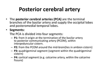 imaging and anatomy of blood supply of brain | PPTX