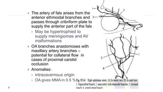 Vascular anatomy of head, [autosaved] | PPTX