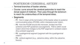 Vascular anatomy of head, [autosaved] | PPTX