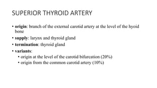 Vascular anatomy of head, [autosaved] | PPTX