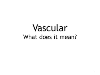 Vascular
What does it mean?
2
 