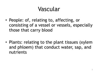 Vascular
• People: of, relating to, affecting, or
consisting of a vessel or vessels, especially
those that carry blood
• Plants: relating to the plant tissues (xylem
and phloem) that conduct water, sap, and
nutrients
3
 