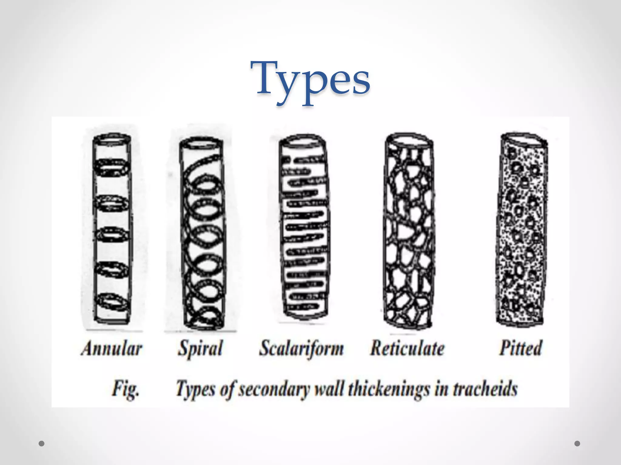 Types