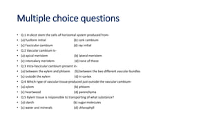 Multiple choice questions
• Q:1 In dicot stem the cells of horizontal system produced from-
• (a) fusiform initial (b) cork cambium
• (c) Fascicular cambium (d) ray initial
• Q:2 Vascular cambium is-
• (a) apical meristem (b) lateral meristem
• (c) intercalary meristem (d) none of these
• Q:3 Intra-fascicular cambium present in-
• (a) between the xylem and phloem (b) between the two different vascular bundles
• (c) outside the xylem (d) in cortex
• Q:4 Which type of vascular tissue produced just outside the vascular cambium-
• (a) xylem (b) phloem
• (c) heartwood (d) parenchyma
• Q:5 Xylem tissue is responsible to transporting of what substance?
• (a) starch (b) sugar molecules
• (c) water and minerals (d) chlorophyll
 