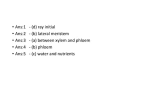 • Ans:1 - (d) ray initial
• Ans:2 - (b) lateral meristem
• Ans:3 - (a) between xylem and phloem
• Ans:4 - (b) phloem
• Ans:5 - (c) water and nutrients
 