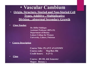 • Vascular Cambium
• Origin, Structure, Storied and Non-Storied Cell
Types, Additive , Multiplicative
Division…abnormal Secondary Growth
• Class Teacher
Dr. Riffat Siddique
Assistant Professor (BPS-19)
Department of Botany
Lahore College for Women
University, Lahore, Pakistan
• Course Description
Course Title: PLANT ANATOMY
Course code: Maj/Bot-306
Credit hours: 4 (3+1)
• Class
Course : BS III, 6th Semester
Major: Botany s
 