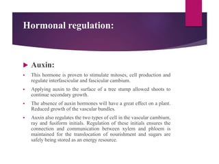 Hormonal regulation:
 Auxin:
 This hormone is proven to stimulate mitoses, cell production and
regulate interfascicular and fascicular cambium.
 Applying auxin to the surface of a tree stump allowed shoots to
continue secondary growth.
 The absence of auxin hormones will have a great effect on a plant.
Reduced growth of the vascular bundles.
 Auxin also regulates the two types of cell in the vascular cambium,
ray and fusiform initials. Regulation of these initials ensures the
connection and communication between xylem and phloem is
maintained for the translocation of nourishment and sugars are
safely being stored as an energy resource.
 