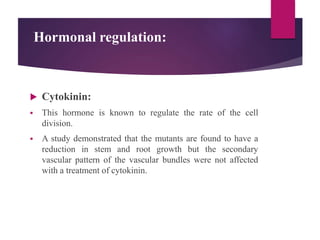 Hormonal regulation:
 Cytokinin:
 This hormone is known to regulate the rate of the cell
division.
 A study demonstrated that the mutants are found to have a
reduction in stem and root growth but the secondary
vascular pattern of the vascular bundles were not affected
with a treatment of cytokinin.
 