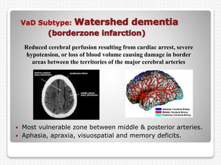 VaD Subtype:
 Most vulnerable zone between middle & posterior arteries.
 Aphasia, apraxia, visuospatial and memory deficits.
Reduced cerebral perfusion resulting from cardiac arrest, severe
hypotension, or loss of blood volume causing damage in border
areas between the territories of the major cerebral arteries
 
