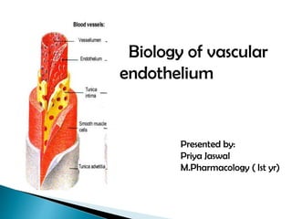 Biology of vascular
endothelium
Presented by:
Priya Jaswal
M.Pharmacology ( Ist yr)
 