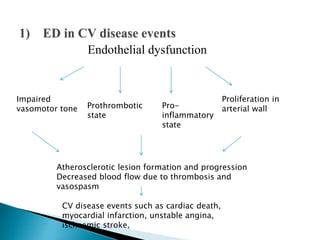 Vascular endothelium