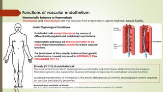 The Vascular Endothelium, Nutrients, and Diseases | PDF