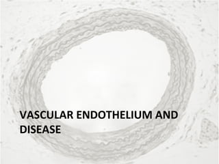 Vascular Endothelium in Health and Disease | PPT