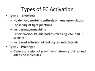 Vascular Endothelium in Health and Disease | PPT