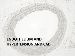 Vascular Endothelium in Health and Disease | PPT