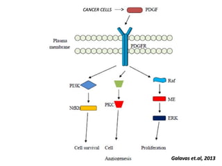 Vascular Endothelium in Health and Disease | PPT
