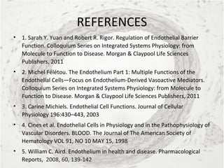 Vascular Endothelium in Health and Disease | PPT