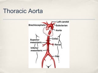 Thoracic Aorta 
 