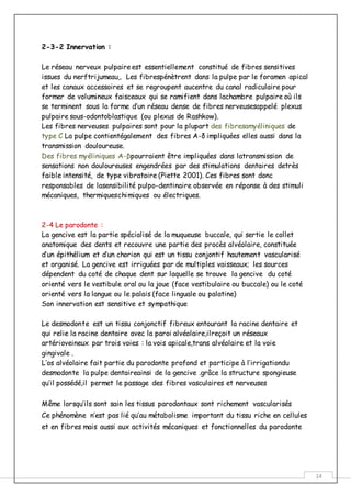 14
2-3-2 Innervation :
Le réseau nerveux pulpaireest essentiellement constitué de fibres sensitives
issues du nerftrijumeau,. Les fibrespénètrent dans la pulpe par le foramen apical
et les canaux accessoires et se regroupent aucentre du canal radiculaire pour
former de volumineux faisceaux qui se ramifient dans lachambre pulpaire où ils
se terminent sous la forme d’un réseau dense de fibres nerveusesappelé plexus
pulpaire sous-odontoblastique (ou plexus de Rashkow).
Les fibres nerveuses pulpaires sont pour la plupart des fibresamyéliniques de
type C La pulpe contientégalement des fibres A-δ impliquées elles aussi dans la
transmission douloureuse.
Des fibres myéliniques A-βpourraient être impliquées dans latransmission de
sensations non douloureuses engendrées par des stimulations dentaires detrès
faible intensité, de type vibratoire (Piette 2001). Ces fibres sont donc
responsables de lasensibilité pulpo-dentinaire observée en réponse à des stimuli
mécaniques, thermiqueschimiques ou électriques.
2-4 Le parodonte :
La gencive est la partie spécialisé de la muqueuse buccale, qui sertie le collet
anatomique des dents et recouvre une partie des procès alvéolaire, constituée
d’un épithélium et d’un chorion qui est un tissu conjontif hautement vascularisé
et organisé. La gencive est irriguées par de multiples vaisseaux; les sources
dépendent du coté de chaque dent sur laquelle se trouve la gencive du coté
orienté vers le vestibule oral ou la joue (face vestibulaire ou buccale) ou le coté
orienté vers la langue ou le palais (face linguale ou palatine)
Son innervation est sensitive et sympathique
Le desmodonte est un tissu conjonctif fibreux entourant la racine dentaire et
qui relie la racine dentaire avec la paroi alvéolaire,ilreçoit un réseaux
artérioveineux par trois voies : la vois apicale,trans alvéolaire et la voie
gingivale .
L’os alvéolaire fait partie du parodonte profond et participe à l’irrigationdu
desmodonte la pulpe dentaireainsi de la gencive .grâce la structure spongieuse
qu’il possédé,il permet le passage des fibres vasculaires et nerveuses
Même lorsqu’ils sont sain les tissus parodontaux sont richement vascularisés
Ce phénomène n’est pas lié qu’au métabolisme important du tissu riche en cellules
et en fibres mais aussi aux activités mécaniques et fonctionnelles du parodonte
 
