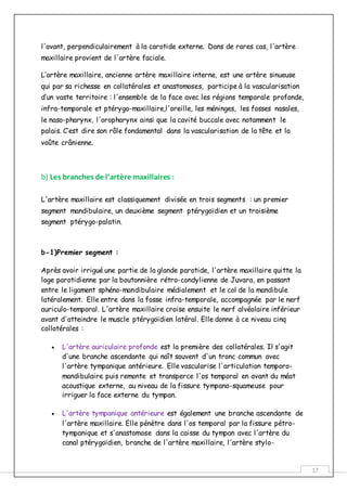 17
l'avant, perpendiculairement à la carotide externe. Dans de rares cas, l'artère
maxillaire provient de l'artère faciale.
L’artère maxillaire, ancienne artère maxillaire interne, est une artère sinueuse
qui par sa richesse en collatérales et anastomoses, participe à la vascularisation
d’un vaste territoire : l'ensemble de la face avec les régions temporale profonde,
infra-temporale et ptérygo-maxillaire,l'oreille, les méninges, les fosses nasales,
le naso-pharynx, l'oropharynx ainsi que la cavité buccale avec notamment le
palais. C’est dire son rôle fondamental dans la vascularisation de la tête et la
voûte crânienne.
b) Les branches de l’artère maxillaires :
L'artère maxillaire est classiquement divisée en trois segments : un premier
segment mandibulaire, un deuxième segment ptérygoïdien et un troisième
segment ptérygo-palatin.
b-1)Premier segment :
Après avoir irrigué une partie de la glande parotide, l'artère maxillaire quitte la
loge parotidienne par la boutonnière rétro-condylienne de Juvara, en passant
entre le ligament sphéno-mandibulaire médialement et le col de la mandibule
latéralement. Elle entre dans la fosse infra-temporale, accompagnée par le nerf
auriculo-temporal. L'artère maxillaire croise ensuite le nerf alvéolaire inférieur
avant d'atteindre le muscle ptérygoïdien latéral. Elle donne à ce niveau cinq
collatérales :
 L'artère auriculaire profonde est la première des collatérales. Il s'agit
d'une branche ascendante qui naît souvent d'un tronc commun avec
l'artère tympanique antérieure. Elle vascularise l'articulation temporo-
mandibulaire puis remonte et transperce l'os temporal en avant du méat
acoustique externe, au niveau de la fissure tympano-squameuse pour
irriguer la face externe du tympan.
 L'artère tympanique antérieure est également une branche ascendante de
l'artère maxillaire. Elle pénètre dans l'os temporal par la fissure pétro-
tympanique et s'anastomose dans la caisse du tympan avec l'artère du
canal ptérygoïdien, branche de l'artère maxillaire, l'artère stylo-
 