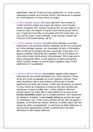 18
mastoïdienne issue de l'artère auriculaire postérieure et l'artère coraco-
tympanique provenant de la carotide interne3
. Elle vascularise la muqueuse
de l'oreille moyenne et la face interne du tympan.
 L'artère méningée moyenne est la plus importante des branches de
l'artère maxillaire. Depuis son origine, elle remonte vers le foramen
épineux en passant entre les deux racines du nerf auriculo-temporal. Au
niveau du crâne, elle remonte le long de la face latérale puis se ramifie
pour irriguer les os du crâne, et une grande partie de la dure-mère. Au
cours de leur trajet, l'artère méningée et ses branches creusent des
sillons sur la face endocrânienne des os6
.
 L'artère méningée accessoire (ou artère petite méningée en ancienne
nomenclature) est une petite branche inconstante qui naît soit à proximité
de l'artère méningée moyenne, soit directement de celle-ci. Elle pénètre
dans le crâne par le foramen ovale pour vasculariser la dure-mère et le
ganglion trigéminal. Malgré son nom, seulement 10% du flux sanguin de
cette artère atteint les structures intracrâniennes7
. Elle irrigue ainsi le
muscle ptérygoïdien médial, le chef supérieur du muscle ptérygoïdien
latéral, le muscle tenseur du voile du palais, le ganglion otique, le nerf
mandibulaire et l'os sphénoïde.
 L'artère alvéolaire inférieure (anciennement appelée artère dentaire
inférieure) est une branche descendante de l'artère maxillaire. Elle se
dirige vers le bas, accompagnée par le nerf alvéolaire inférieur. Juste
avant de pénétrer dans le canal alvéolaire inférieur par le foramen
mandibulaire elle donne une branche, l'artère mylo-hyoïdienne, qui descend
à la face interne de la mandibule au niveau du sillon mylo-hyoïdien pour
vasculariser le muscle du même nom. L'artère alvéolaire inférieure
poursuit ensuite son trajet dans le canal alvéolaire et se divise en une
branche mentonnière passant par le foramen mentonnier pour vasculariser
les téguments du menton, et une branche incisive qui poursuit son trajet
et s'anastomose avec l'artère contro-latérale.continue dans l’os jusqu’à la
symphyse, où elle donne des rameaux dentaires, en nombre égal à celui des
racines des dents correspondantes, et vascularise les dents antérieures et
les structures adjacentes.Elle permet la vascularisation des dents
inférieures via des rameaux dentaires.
 