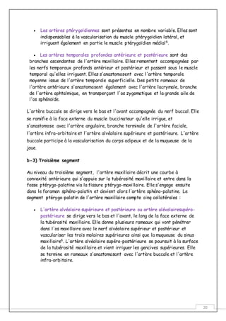 20
 Les artères ptérygoïdiennes sont présentes en nombre variable. Elles sont
indispensables à la vascularisation du muscle ptérygoïdien latéral, et
irriguent également en partie le muscle ptérygoïdien médial6
.
 Les artères temporales profondes antérieure et postérieure sont des
branches ascendantes de l'artère maxillaire. Elles remontent accompagnées par
les nerfs temporaux profonds antérieur et postérieur et passent sous le muscle
temporal qu'elles irriguent. Elles s'anastomosent avec l'artère temporale
moyenne issue de l'artère temporale superficielle. Des petits rameaux de
l'artère antérieure s'anastomosent également avec l'artère lacrymale, branche
de l'artère ophtalmique, en transperçant l'os zygomatique et la grande aile de
l'os sphénoïde.
L'artère buccale se dirige vers le bas et l'avant accompagnée du nerf buccal. Elle
se ramifie à la face externe du muscle buccinateur qu'elle irrigue, et
s'anastomose avec l'artère angulaire, branche terminale de l'artère faciale,
l'artère infra-orbitaire et l'artère alvéolaire supérieure et postérieure. L'artère
buccale participe à la vascularisation du corps adipeux et de la muqueuse de la
joue.
b-3) Troisième segment
Au niveau du troisième segment, l'artère maxillaire décrit une courbe à
convexité antérieure qui s'appuie sur la tubérosité maxillaire et entre dans la
fosse ptérygo-palatine via la fissure ptérygo-maxillaire. Elle s'engage ensuite
dans le foramen sphéno-palatin et devient alors l'artère sphéno-palatine. Le
segment ptérygo-palatin de l'artère maxillaire compte cinq collatérales :
 L'artère alvéolaire supérieure et postérieure ou artère alévolairesupéro-
postérieure se dirige vers le bas et l'avant, le long de la face externe de
la tubérosité maxillaire. Elle donne plusieurs rameaux qui vont pénétrer
dans l'os maxillaire avec le nerf alvéolaire supérieur et postérieur et
vasculariser les trois molaires supérieures ainsi que la muqueuse du sinus
maxillaire6
. L'artère alvéolaire supéro-postérieure se poursuit à la surface
de la tubérosité maxillaire et vient irriguer les gencives supérieures. Elle
se termine en rameaux s'anastomosant avec l'artère buccale et l'artère
infra-orbitaire.
 