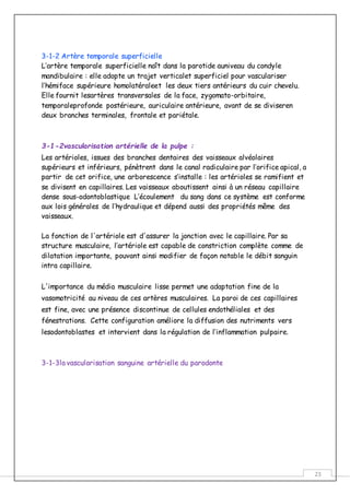 23
3-1-2 Artère temporale superficielle
L’artère temporale superficielle naît dans la parotide auniveau du condyle
mandibulaire : elle adopte un trajet verticalet superficiel pour vasculariser
l’hémiface supérieure homolatéraleet les deux tiers antérieurs du cuir chevelu.
Elle fournit lesartères transversales de la face, zygomato-orbitaire,
temporaleprofonde postérieure, auriculaire antérieure, avant de se diviseren
deux branches terminales, frontale et pariétale.
3-1-2vascularisation artérielle de la pulpe :
Les artérioles, issues des branches dentaires des vaisseaux alvéolaires
supérieurs et inférieurs, pénètrent dans le canal radiculaire par l’orifice apical, a
partir de cet orifice, une arborescence s’installe : les artérioles se ramifient et
se divisent en capillaires. Les vaisseaux aboutissent ainsi à un réseau capillaire
dense sous-odontoblastique L’écoulement du sang dans ce système est conforme
aux lois générales de l’hydraulique et dépend aussi des propriétés même des
vaisseaux.
La fonction de l'artériole est d'assurer la jonction avec le capillaire. Par sa
structure musculaire, l’artériole est capable de constriction complète comme de
dilatation importante, pouvant ainsi modifier de façon notable le débit sanguin
intra capillaire.
L'importance du média musculaire lisse permet une adaptation fine de la
vasomotricité au niveau de ces artères musculaires. La paroi de ces capillaires
est fine, avec une présence discontinue de cellules endothéliales et des
fénestrations. Cette configuration améliore la diffusion des nutriments vers
lesodontoblastes et intervient dans la régulation de l’inflammation pulpaire.
3-1-3la vascularisation sanguine artérielle du parodonte
 