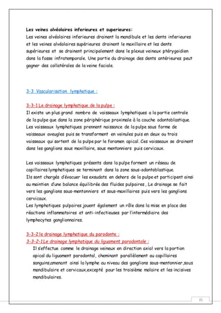 35
Les veines alvéolaires inferieures et superieures:
Les veines alvéolaires inferieures drainent la mandibule et les dents inferieures
et les veines alvéolaires supérieures drainent le maxillaire et les dents
supérieures et se drainent principalement dans le plexus veineux ptérygoidien
dans la fosse infratemporale. Une partie du drainage des dents antérieures peut
gagner des collatérales de la veine faciale.
3-3 Vascularisation lymphatique :
3-3-1 Le drainage lymphatique de la pulpe :
Il existe un plus grand nombre de vaisseaux lymphatiques a la partie centrale
de la pulpe que dans la zone périphérique proximale à la couche odontoblastique.
Les vaisseaux lymphatiques prennent naissance de la pulpe sous forme de
vaisseaux aveugles puis se transforment en veinules puis en deux ou trois
vaisseaux qui sortent de la pulpe par le foramen apical. Ces vaisseaux se drainent
dans les ganglions sous maxillaire, sous mentonniers puis cervicaux.
Les vaisseaux lymphatiques présents dans la pulpe forment un réseau de
capillaires lymphatiques se terminant dans la zone sous-odontoblastique.
Ils sont chargés d’évacuer les exsudats en dehors de la pulpe et participent ainsi
au maintien d’une balance équilibrée des fluides pulpaires , Le drainage se fait
vers les ganglions sous-mentonniers et sous-maxillaires puis vers les ganglions
cervicaux.
Les lymphatiques pulpaires jouent également un rôle dans la mise en place des
réactions inflammatoires et anti-infectieuses par l’intermédiaire des
lymphocytes ganglionnaires.
3-3-2 le drainage lymphatique du parodonte :
3-3-2-1 Le drainage lymphatique du liguament parodontale :
Il s’effectue comme le drainage veineux en direction axial vers la portion
apical du liguament parodontal, cheminant parallèlement au capillaires
sanguins,amenant ainsi la lymphe au niveau des ganglions sous-mentonnier,sous
mandibulaire et cervicaux,excepté pour les troisième molaire et les incisives
mandibulaires.
 
