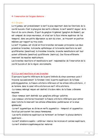 39
4- l’innervation de l’organe dentaire :
4-1 Origine :
Le trijumeau est probablement le nerf le plus important dans les fonctions de la
cavité buccale. C’est le plus gros des nerfs crâniens, le nerf sensitif majeur de la
face et du cuire chevelu. Il part du ganglion trigèminal (ganglion de Gasser), qui
est composé de corps neuronaux, et situé sur la face interne supérieur de l’os
temporal, dans une petite dépression au sein du crane , se trouvant en position
médiane par rapport au trou ovale.
Le nerf trijumeau est divisé en trois branches nerveuses principales. Les deux
premières branches, la branche ophtalmique et la branche maxillaire ne sont
qu’afférentes (sensitives) la troisième branche, branche mandibulaire est tout
autant afférente (sensitive) qu’efférente (motrice). Ces fibres efférente
innervent les muscles masticateurs.
Les branches maxillaire et mandibulaire sont responsables de l’innervation de la
cavité buccale et de la région environnante.
4-1-1 Le nerf maxillaire et ses branches
Il parcours la partie inférieure de la paroi latérale du sinus caverneux puis il
traverse successivement le foramen rond, la partie supérieure de la fosse
ptéretygopalatine ,la fissure orbitaire inférieure et les sillons infra orbitaire , il
se termine dans le canal infra orbitaire en nerf infra orbitaire.
-Le rameau méningé moyen est destiné à la dure mère de la fosse crânienne
moyenne
-Deux rameaux sont destinés aux ganglions ptérygo –palatins.
-Les rameaux orbitaires traversent la fissure orbitaire inférieure pour entrer
dans l’orbite.ils innervent les cellules ethmoidales postérieures et le sinus
sphémoidal.
-Le nerf zygomatique se divise en nerfs zygomatico - temporal et zygomatico-
facial qui parcourent les canaux homonymes.
-Les nerfs alvéolaires supérieurs se terminent en formant le plexus dentaire
supérieure .
-Le nerf alvéolaire supéro – antérieur innerve les incisives et canines supérieurs,
-Le nerf alvéolaire supéromoyen,les molaires
 