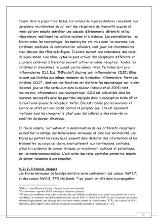 50
Comme dans la plupart des tissus, les cellules de la pulpe dentaire réagissent aux
agressions microbiennes en activant des récepteurs de l’immunité acquise et
innée qui vont ensuite entraîner une cascade d’évènements défensifs et/ou
réparateurs, mobilisant les cellules voisines et à distance. Les odontoblastes, les
fibroblastes, les macrophages, les mastocytes etc mais aussi les neurones. Les
cytokines, molécules de communication cellulaire, vont jouer les intermédiaires
avec chacune des rôles spécifiques. Il existe souvent une redondance des voies
de signalisation. Une même cytokine peut activer des récepteurs différents et
plusieurs cytokines différentes peuvent activer un même récepteur. Toutes les
cytokines et chemokines ne jouent pas les mêmes rôles. Certaines sont pro-
inflammatoires (IL1, IL6, TNFalpha8
) d’autres anti-inflammatoires (IL10); Elles
ne sont pas libérées aux mêmes moments de la réaction inflammatoire. Parmi ces
cytokine, CCL29
, dont une des fonctions est d’attirer les macrophages sur le site
lésionnel joue un rôle particulier dans la douleur (Abadie et al. 2009), tant
nociceptive, inflammatoire que neuropathique. CCL2 est colocalisée dans les
neurones nociceptifs avec les peptides impliqués dans la nociception telsla SP et
le CGRP ainsi qu’avec le récepteur TRPV1. Elle est libérée par les neurones et
exerce un effet pro-nociceptif central et périphérique. Elle est également
impliquée dans les changements plastiques des cellules gliales observés en
condition de douleur chronique.
En fin de compte, l’activation et la sensibilisation de ces différents récepteurs
va modifier le voltage des terminaisons nerveuses et donc leur excitabilité. Les
fibres qui portent les récepteurs peuvent donc détecter des informations et les
transmettre au corps cellulaire, éventuellement aux terminaisons centrales,
grâce à la présence de canaux ioniques, principalement sodiques et potassiques,
sur les membrannesaxonales. L’activation des voies centrales permettra ensuite
de donner naissance à une sensation.
4-2-2-3 Canaux ioniques
Les fibres nerveuses de la pulpe dentaire saine contiennent des canaux NaV 1.7,
et des canaux NaV1.8, TTX résistants 10
qui jouent un rôle dans la propagation
8TNFa= TumorNecrosis Factor = facteur de nécrose tumorale
9 Précédemment appelée MCP1 (monocyte attractant protein)
10 Il existe de nombreux sous types de canauxNa, qui diffèrent selon leurs sous unités constitutives et le tissu
considéré. Les neurones sensitifs contiennent des canaux NaV1.7, NaV1.8 et NaV1.9 que l’on peut sélectionner
pharmacologiquement, par blocage avec certaines toxines comme la tétrodotoxine (TTX). Les canaux NaV1.8 ,
présents sélectivement surles neurones sensitifs nociceptifs,résistent à l’action de la TTX.
 