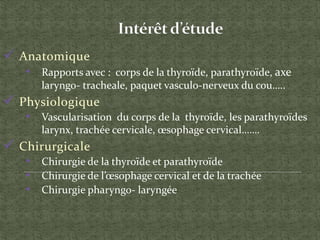  Anatomique
• Rapports avec : corps de la thyroïde, parathyroïde, axe
laryngo- tracheale, paquet vasculo-nerveux du cou…..
 Physiologique
• Vascularisation du corps de la thyroïde, les parathyroïdes
larynx, trachée cervicale, œsophage cervical…….
 Chirurgicale
• Chirurgie de la thyroïde et parathyroïde
• Chirurgie de l’œsophage cervical et de la trachée
• Chirurgie pharyngo- laryngée
 