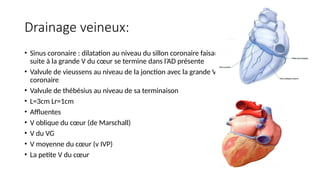 Drainage veineux:
• Sinus coronaire : dilatation au niveau du sillon coronaire faisant
suite à la grande V du cœur se termine dans l’AD présente
• Valvule de vieussens au niveau de la jonction avec la grande V
coronaire
• Valvule de thébésius au niveau de sa terminaison
• L=3cm Lr=1cm
• Affluentes
• V oblique du cœur (de Marschall)
• V du VG
• V moyenne du cœur (v IVP)
• La petite V du cœur
 