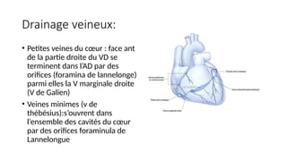 Drainage veineux:
• Petites veines du cœur : face ant
de la partie droite du VD se
terminent dans l’AD par des
orifices (foramina de lannelonge)
parmi elles la V marginale droite
(V de Galien)
• Veines minimes (v de
thébésius):s’ouvrent dans
l’ensemble des cavités du cœur
par des orifices foraminula de
Lannelongue
 