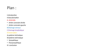 Plan :
I.Introduction
II.Vascularisation
A. Artérielle
• Artère coronaire droite
• Artère coronaire gauche
B.Drainage veineux
C.Drainage lymphatique
III.Innervation
A.système intrinsèque
B.Système extrinsèque
• Sympathique
• Parasympathique
IV .conclusion
 