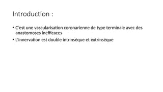 Introduction :
• C’est une vascularisation coronarienne de type terminale avec des
anastomoses inefficaces
• L’innervation est double intrinsèque et extrinsèque
 