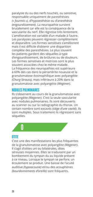 26
paralysie du ou des nerfs touchés, ou sensitive,
responsable uniquement de paresthésies
(« fourmis »), d’hypoesthésie ou d’anesthésie
(engourdissement). La neuropathie survient
brutalement car elle est la conséquence de la
vascularite du nerf. Elle régresse très lentement.
L’amélioration est variable d’un malade à l’autre.
Les paralysies peuvent régresser complètement
et disparaître. Les formes sensitives s’améliorent
mais il est difficile d’obtenir une disparition
complète des paresthésies. Le plus souvent
les patients gardent des séquelles à type
d’engourdissement, de brûlures ou de douleurs.
Les formes sensitives et motrices sont le plus
souvent associées chez le même malade.
La fréquence des neuropathies est supérieure
à 60% des cas dans la périartérite noueuse et la
granulomatose éosinophilique avec polyangéite
(Churg-Strauss), mais inférieure à 20% dans la
granulomatose avec polyangéite (Wegener).
NODULES PULMONAIRES
Ils s’observent au cours de la granulomatose avec
polyangéite (Wegener). C’est la seule vascularite
avec nodules pulmonaires. Ils sont découverts
au scanner ou sur la radiographie du thorax. Un
certain nombre sont excavés (siège d’une cavité). Ils
sont multiples. Sous traitement ils régressent sans
séquelles.
O
OTITE
C’est une des manifestations les plus fréquentes
de la granulomatose avec polyangéite (Wegener).
Il s’agit d’otites uni ou bilatérales, dites
séreuses moyennes. Elles se traduisent par un
bombement du tympan du au liquide présent
à ce niveau. Lorsque le tympan se perfore, un
écoulement se produit. Une baisse de l’acuité
auditive (hypoacousie) et/ou des acouphènes
(bourdonnements d’oreille) sont fréquents.
 