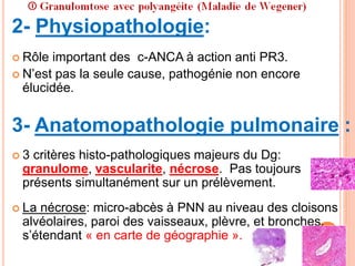 2- Physiopathologie:
 Rôle important des c-ANCA à action anti PR3.
 N’est pas la seule cause, pathogénie non encore
élucidée.
3- Anatomopathologie pulmonaire :
 3 critères histo-pathologiques majeurs du Dg:
granulome, vascularite, nécrose. Pas toujours
présents simultanément sur un prélèvement.
 La nécrose: micro-abcès à PNN au niveau des cloisons
alvéolaires, paroi des vaisseaux, plèvre, et bronches,
s’étendant « en carte de géographie ».
 