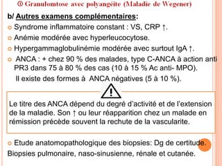 b/ Autres examens complémentaires:
 Syndrome inflammatoire constant : VS, CRP ↑.
 Anémie modérée avec hyperleucocytose.
 Hypergammaglobulinémie modérée avec surtout IgA ↑.
 ANCA : + chez 90 % des malades, type C-ANCA à action anti
PR3 dans 75 à 80 % des cas (10 à 15 % Ac anti- MPO).
Il existe des formes à ANCA négatives (5 à 10 %).
 Etude anatomopathologique des biopsies: Dg de certitude.
Biopsies pulmonaire, naso-sinusienne, rénale et cutanée.
Le titre des ANCA dépend du degré d’activité et de l’extension
de la maladie. Son ↑ ou leur réapparition chez un malade en
rémission précède souvent la rechute de la vascularite.
 