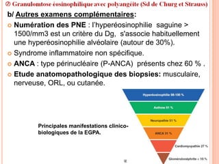 b/ Autres examens complémentaires:
 Numération des PNE : l’hyperéosinophilie saguine >
1500/mm3 est un critère du Dg, s'associe habituellement
une hyperéosinophilie alvéolaire (autour de 30%).
 Syndrome inflammatoire non spécifique.
 ANCA : type périnucléaire (P-ANCA) présents chez 60 % .
 Etude anatomopathologique des biopsies: musculaire,
nerveuse, ORL, ou cutanée.
Principales manifestations clinico-
biologiques de la EGPA.
 