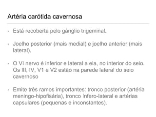 Artéria carótida cavernosa
• Está recoberta pelo gânglio trigeminal.
• Joelho posterior (mais medial) e joelho anterior (mais
lateral).
• O VI nervo é inferior e lateral a ela, no interior do seio.
Os III, IV, V1 e V2 estão na parede lateral do seio
cavernoso
• Emite três ramos importantes: tronco posterior (artéria
meningo-hipofisária), tronco ínfero-lateral e artérias
capsulares (pequenas e inconstantes).
 